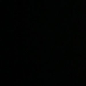 Meet your Posher, Shelby